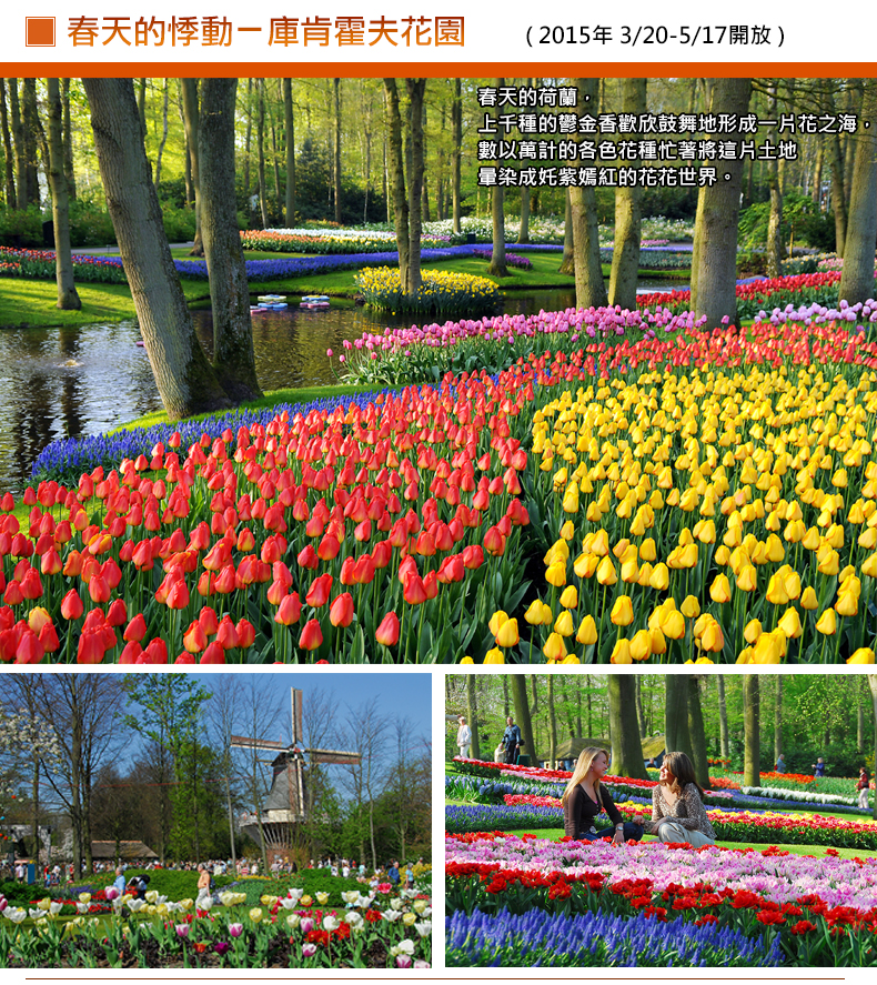 00014032.JPG (790×887)