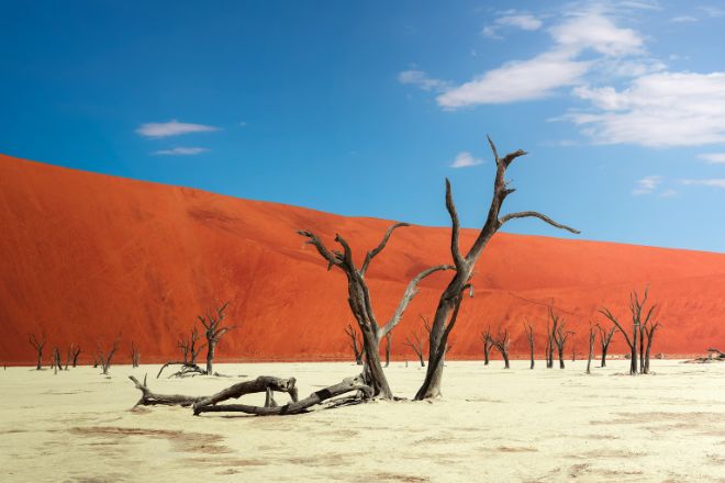 納米比亞‧維多利亞瀑布‧動物大遷徙18日(限定)_要看就看最亮點！跟我們這樣玩就對了_動物大遷徙、紅人沙漠、維多利亞瀑布