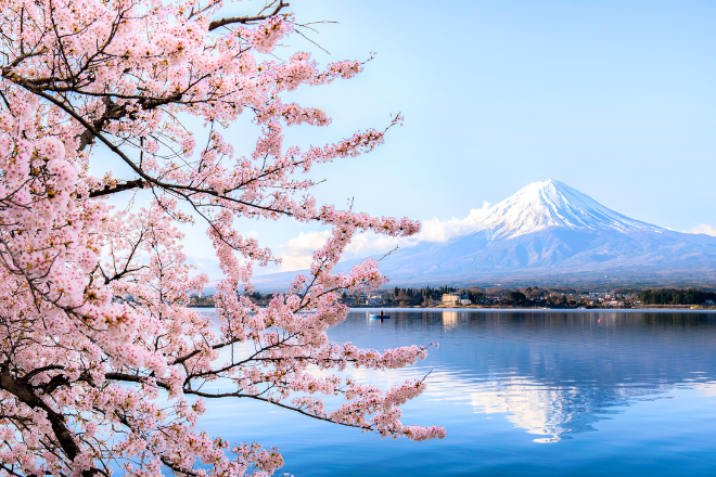 【荷美遊輪】日韓賞櫻之旅16日（東京上下船）_搭乘荷美遊輪【諾丹號】Noordam（82,500噸／載客1,996）_年度熱門賞櫻航次：清水、大阪、廣島、釜山（韓國）、境港、舞鶴、金澤、函館、宮古、常陸