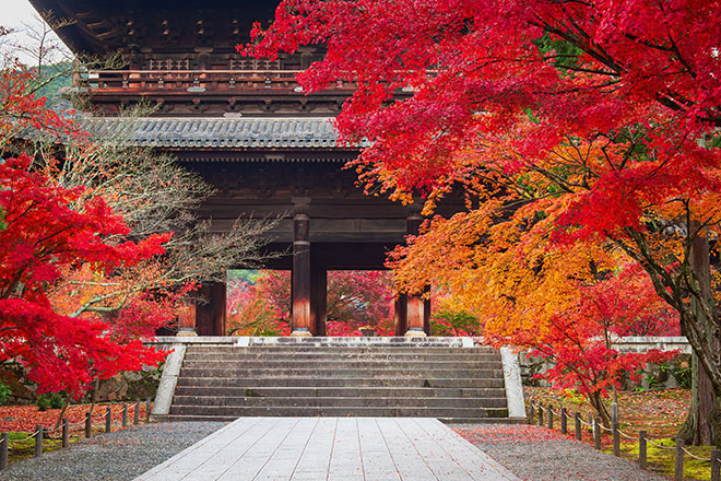【日本名旅館】京都奈良犬山5日(賞楓)_保證入住4晚名旅館_🍴究極好滋味老饕最愛