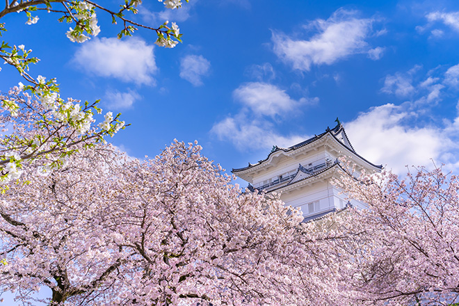 【日本名旅館】伊豆5日(名旅館+賞櫻+演歌天王演唱會)_保證入住4晚名旅館_🍴究極好滋味老饕最愛