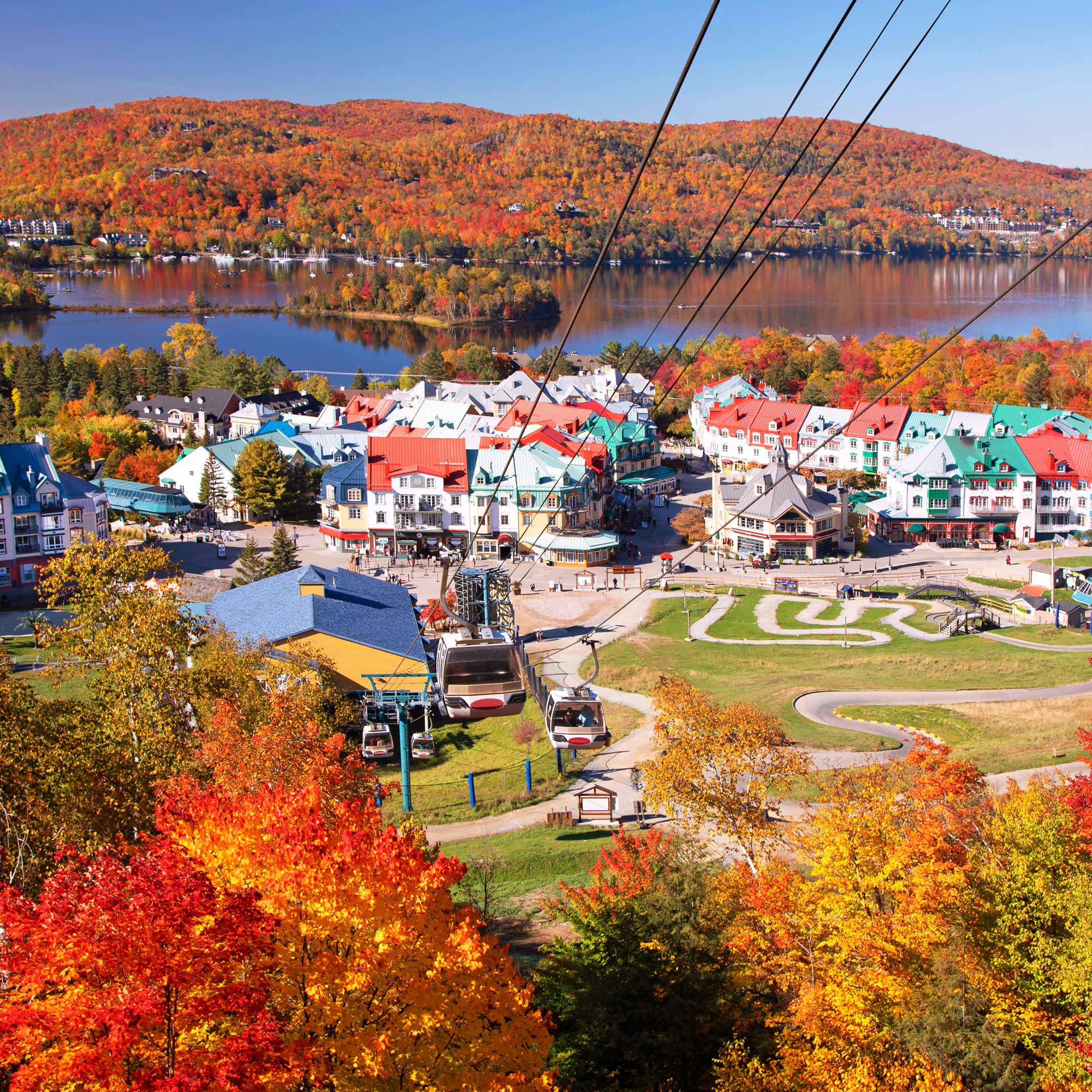 2025金旅獎_加東五堡賞楓12日