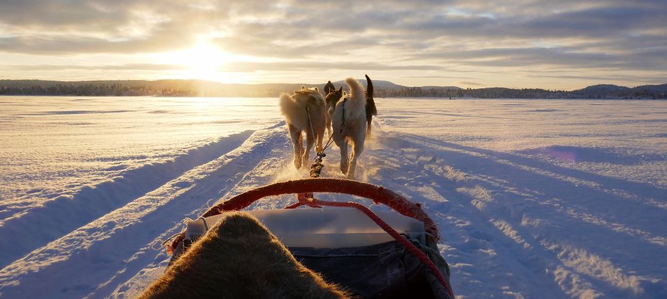 幸福極光  極圈郵輪 ~ 羅浮敦、北歐雙重饗宴15日_伊娜里Inari－71KM－莎麗塞卡 Saariselkä_第09天