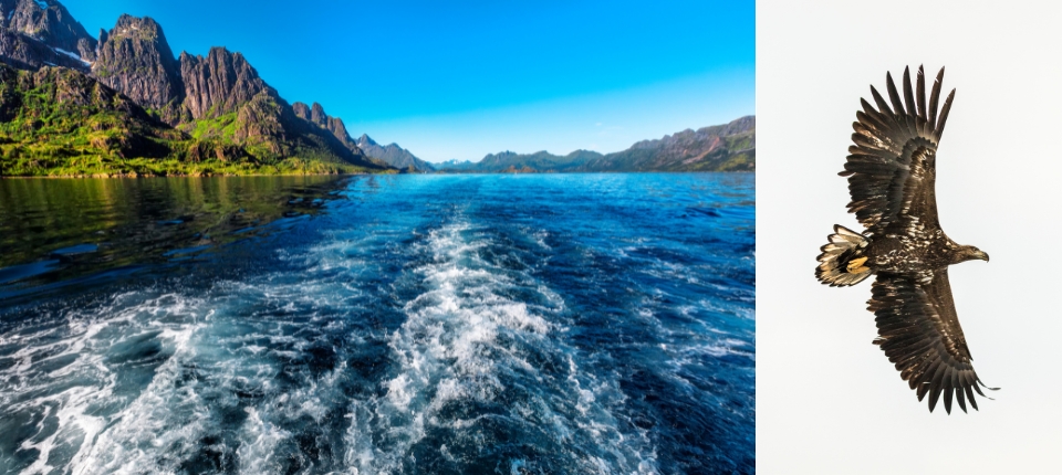 北歐隱世雙島 羅浮敦群島、法羅群島極境探索15日_哈斯塔-羅浮敦群島-精靈峽灣遊船-雷納(漁屋體驗)_第03天