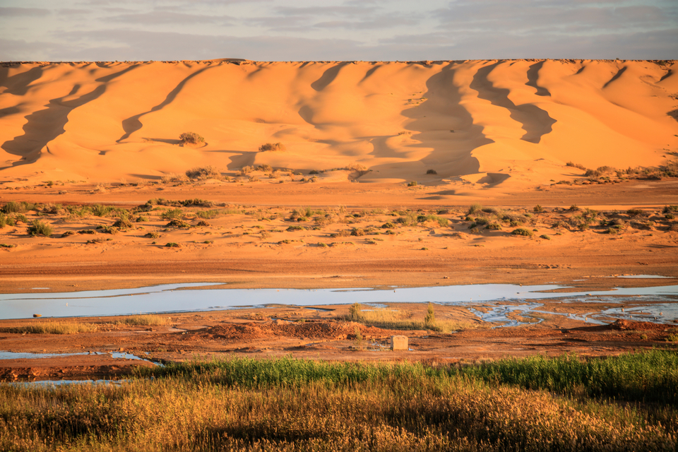 穿越摩洛哥與撒哈拉，尋訪加那利的火山之巔26日_卡薩布蘭加CMN / EUN ( Laayoune阿尤恩 ) 
阿尤恩 – ( 101 Km / 1:20 ) - 塔爾法亞 – ( 101 Km / 1:20 ) - 阿尤恩
_第15天