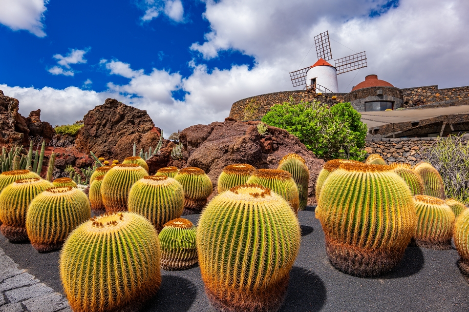穿越摩洛哥與撒哈拉，尋訪加那利的火山之巔26日_蘭薩羅特島_第23天