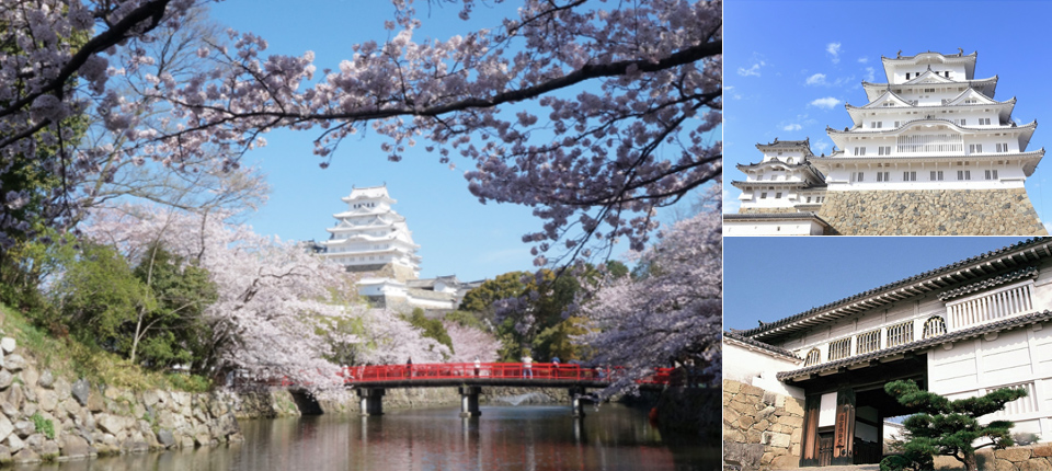 【大洋遊輪】日韓遊輪之旅13日（東京上下船）_神戶 Kobe（本州兵庫縣）（停泊時間08:00至17:00）_第05天