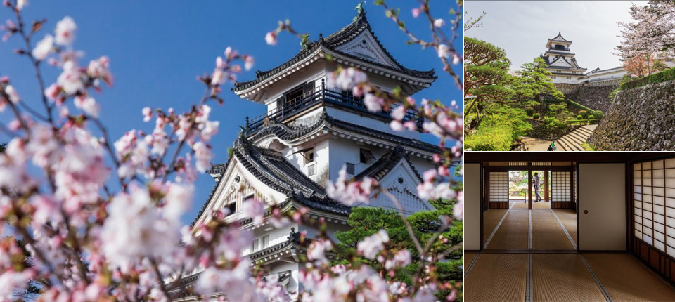 【大洋遊輪】日韓遊輪之旅13日（東京上下船）_高知 Kochi（四國）（停泊時間07:00至16:00）_第06天