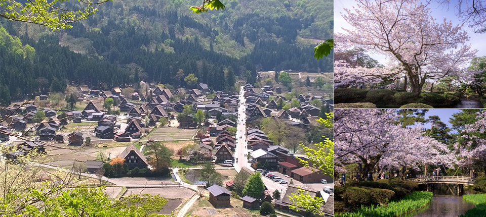 【荷美遊輪】日韓賞櫻之旅16日（東京上下船）_金澤 Kanazawa（本州石川縣）（停泊時間08:00至18:00）_第11天