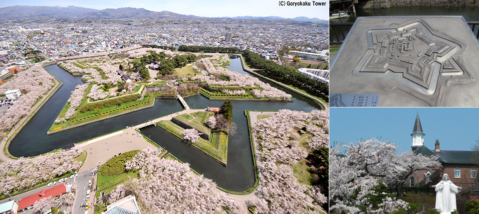 【荷美遊輪】日韓賞櫻之旅16日（東京上下船）_函館 Hakodate（北海道）（停泊時間10:00至21:00）_第14天
