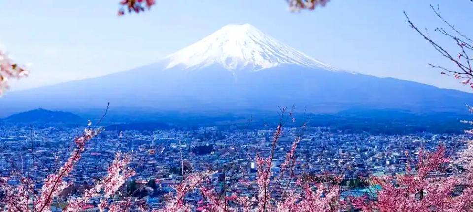 【荷美遊輪】日韓賞櫻之旅16日（東京上下船）_清水 Shimizu（靜岡縣）（停泊時間07:00至15:00）_第03天