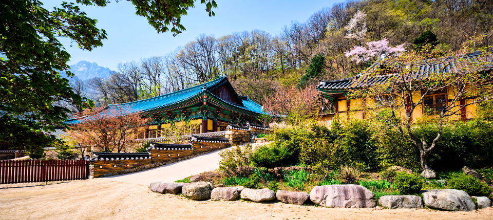 【荷美遊輪】日韓賞櫻之旅16日（東京上下船）_束草 Sokcho（韓國）（停泊時間10:00至20:00）_第08天