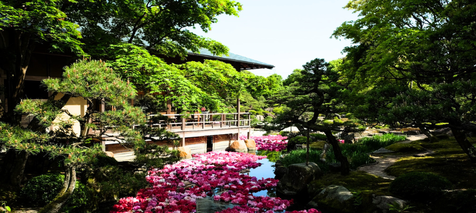 【荷美遊輪】日韓賞櫻之旅16日（東京上下船）_境港 Sakaiminato（本州鳥取縣）（停泊時間08:00至17:00）_第09天