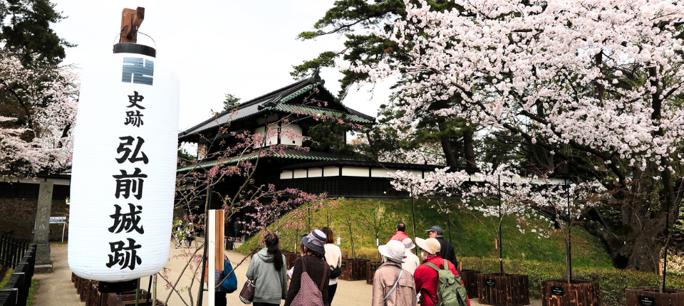 【荷美遊輪】日韓賞櫻之旅16日（東京上下船）_青森 Aomori（本州東北）（停泊時間08:00至19:00）_第13天