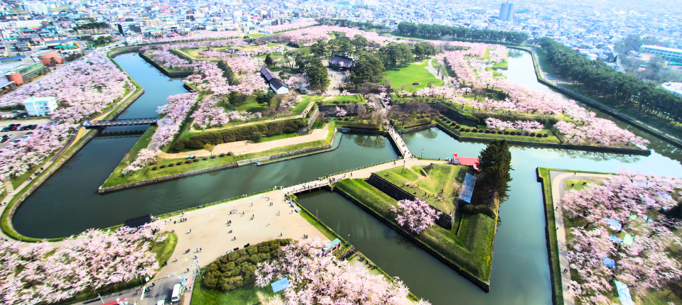 【荷美遊輪】日韓賞櫻之旅16日（東京上下船）_函館 Hakodate（北海道）（停泊時間10:00至21:00）_第14天