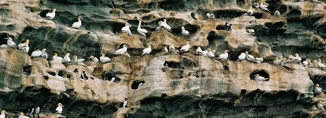 【荷美遊輪】北歐極光、北極圈、挪威峽灣遊輪之旅20日_勒克威 Lerwick（英國／昔得蘭群島）（停泊時間08:00－17:00）_第15天