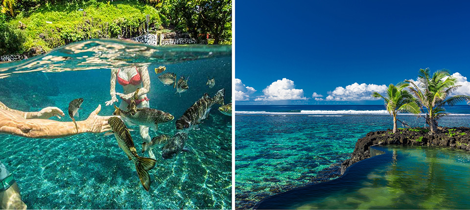 銀海遊輪・南太平洋玻里尼西亞、庫克群島、斐濟巡航17日_阿皮亞, 薩摩亞Apia, Samoa（停泊時間08:00－19:00）(大年初一)_第10天