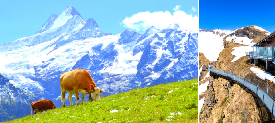 征服阿爾卑斯 瑞士鐵道雙峰輕健行11日_格林德瓦（菲斯特纜車、山中健行）－（火車）琉森Luzern_第09天