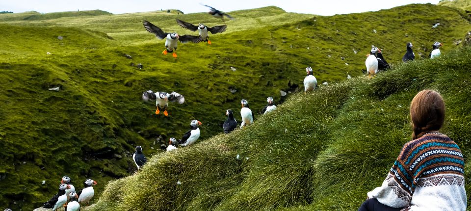 夢幻北大西洋13日蘇格蘭高地法羅群島探索之旅_托爾斯港 -  法羅縮影遊船_第11天