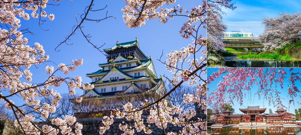 遇見櫻～千年古都關西四季組曲之旅5日_飯店－伏見十石舟或宇治平等院－大阪城公園（櫻花百選）－心齋橋商店街&道頓崛美食街_第04天