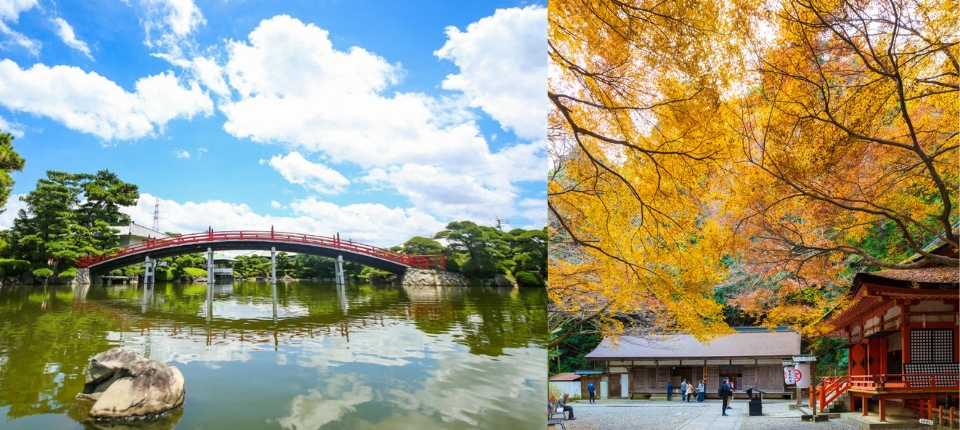 秋楓廣島・四國瀨戶內巡遊7日_道後溫泉→中津萬象園→金刀比羅宮、商店街→琴平溫泉_第04天