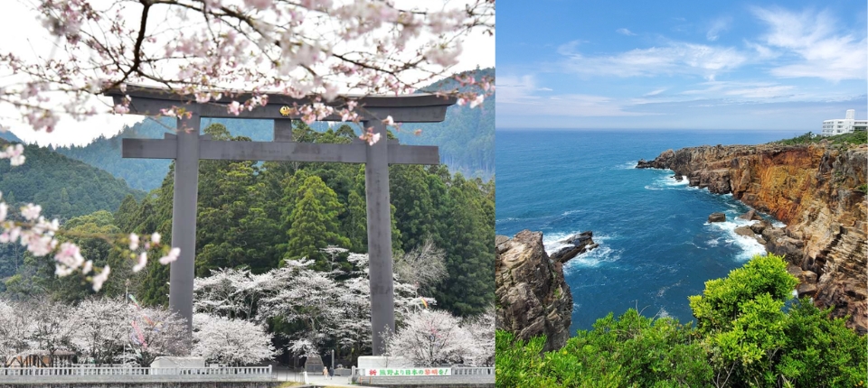 紀伊志摩・熊野神域賞櫻・秘宿慢旅6日_白濱溫泉─平草原公園賞櫻─三段壁洞窟─大齋源賞櫻─隱宿旅館_第02天