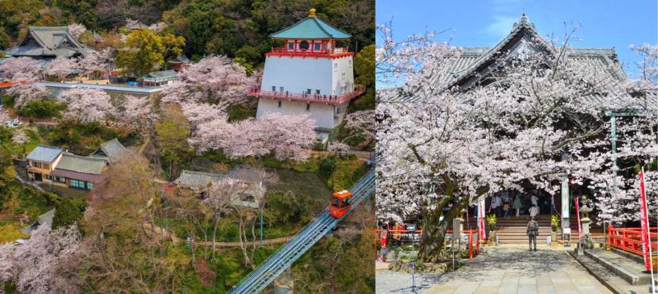 紀伊志摩・熊野神域賞櫻・秘宿慢旅6日_桃園機場─大阪關西空港─紀三井寺賞櫻─白濱_第01天