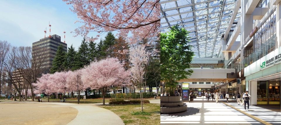 花見山桃源仙境・相馬樓舞孃風雅・銀山莊5日_旅館→錦町公園賞櫻→仙台購物時光→仙台機場→台灣_第05天