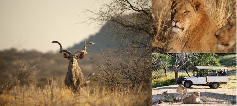納米比亞紅沙漠、維多利亞瀑布13日_溫荷克—(251KM，4 hr)－奧奇瓦龍戈_第03天