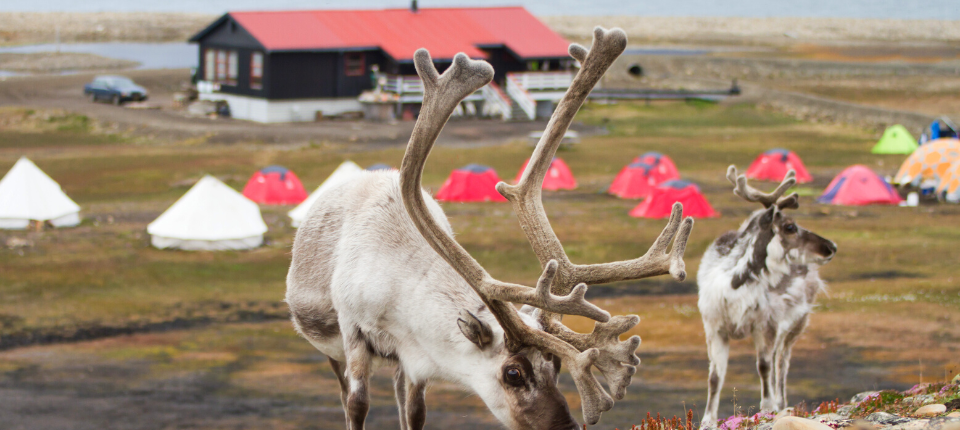 【龐洛夏古號】北極三島大滿貫23日（冰島、格陵蘭、史瓦巴）_Søraust-Svalbard Nature Reserve（史瓦巴群島）_第18天