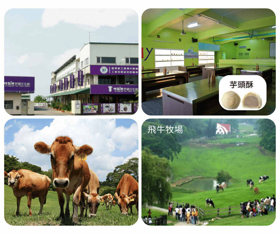 A-8 芋見牛奶 飛牛牧場×阿聰師芋頭酥手作之旅_台中高鐵站—阿聰師芋頭文化館—飛牛牧場-台中高鐵站_第01天